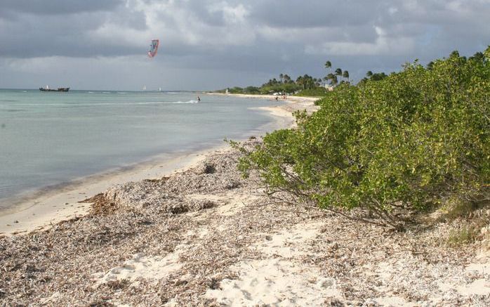 ORANJESTAD - Kustlijn van Aruba. Er komt geen onderzoek naar corruptie op het eiland. Foto ANP