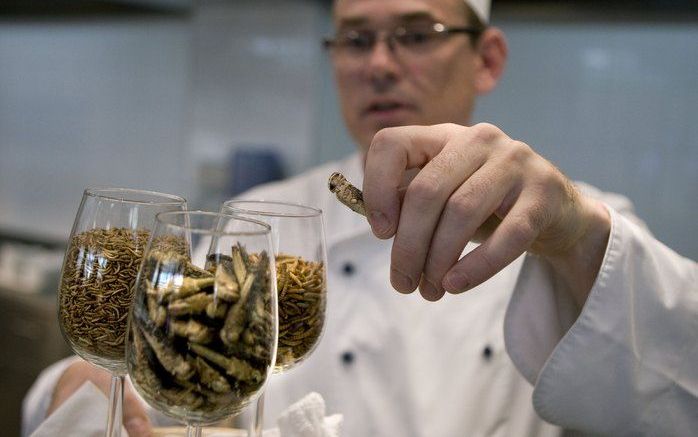 Een kok serveerde maandag meelwormen en gefrituurde sprinkhanen in het bedrijfsrestaurant van het ministerie van LNV in Den Haag. Foto ANP