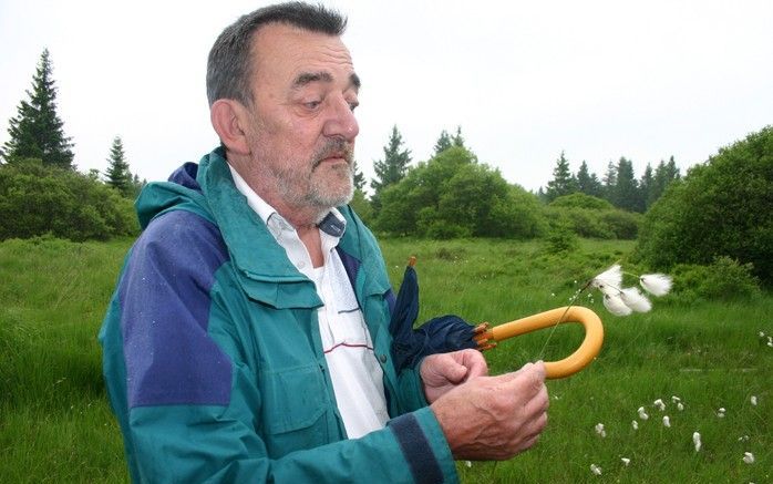 De Belgische Rogier Meeus met veenpluis van de Hoge Venen in de Ardennen in zijn hand. Foto’s RD