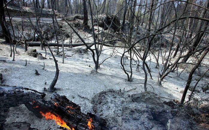 Natuurbranden blijven Spanje en Griekenland teisteren. Brandweerlieden krijgen steeds meer brandhaarden onder controle, maar de autoriteiten blijven alert vanwege de hoge temperaturen en de droogte. Foto EPA