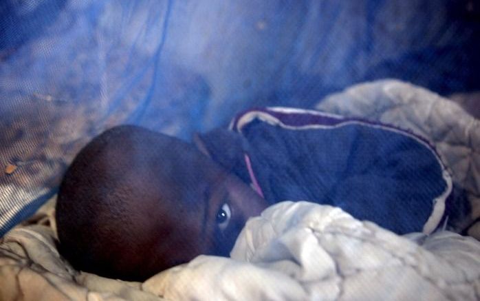 WASHINGTON – De tropische ziekte malaria is mogelijk afkomstig van apen, net als het hiv–virus. Dat blijkt uit nieuw onderzoek van Amerikaanse wetenschappers, berichtte CNN dinsdag. Foto EPA