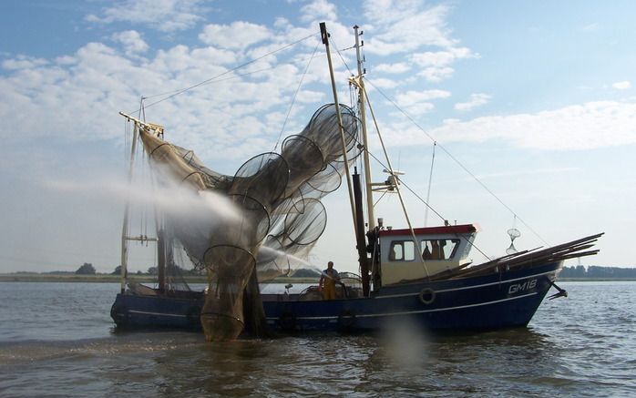 Met de GM 18 Margaretha vist Bekendam vandaag op het Ketelmeer, waar hij en zijn collega van de GM 29 samen 160 fuiken hebben uitstaan. Foto RD