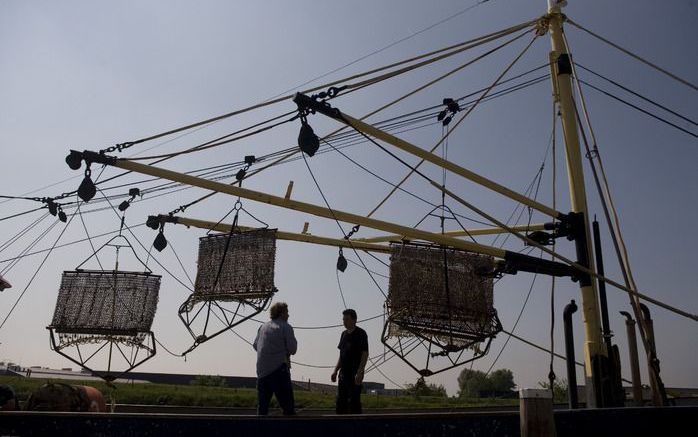 DEN HAAG – De mosselvissers krijgen eerder dan in voorgaande jaren hun najaarsvergunning om te vissen op de Waddenzee. Ze kunnen daardoor hoogstwaarschijnlijk eind deze maand beginnen met de vangst van mosselzaad. Foto ANP