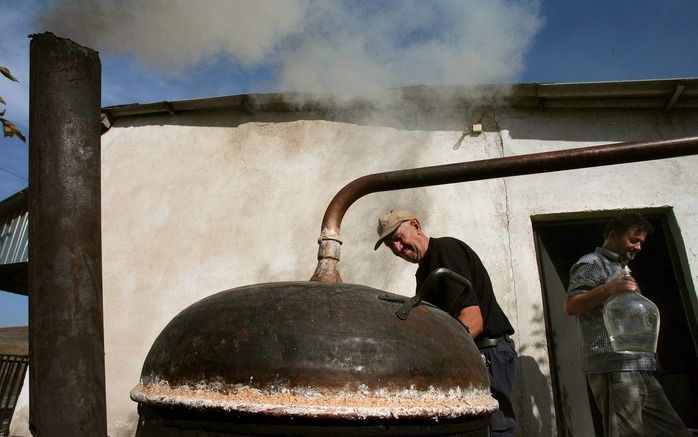 KIEV – Bijna 170 mannen hebben in Oekraïne een destilleerderij bestormd waar brandy werd geproduceerd. De voornamelijk werkloze mannen hadden ieder 50 tot 100 dollar (35 tot 75 euro) ontvangen van een opdrachtgever om de fabriek in de Zuid–Oekraïense stad