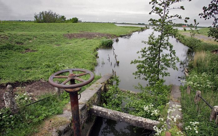 „De natuurlijke wereld wordt beschouwd als van een andere orde dan de concrete leefwereld van mensen. Illustratief hiervoor is Tiengemeten. Oorspronkelijk werd dit eiland in het Haringvliet gebruikt voor akkerbouw, maar de laatste boer is in 2006 vertrokk