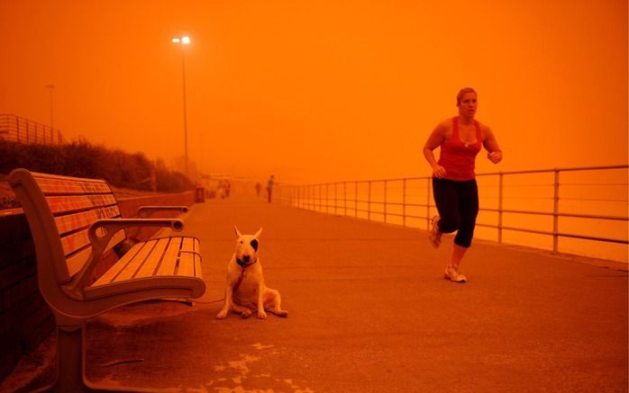 AUCKLAND – De zandstorm die de Australische steden Sydney en Brisbane woensdag in een oranjerode gloed hulde, is vrijdag over Nieuw–Zeeland gewaaid, bijna 2200 kilometer verderop. Auto’s, huizen en straten in de stad Auckland waren ’s ochtends bedekt onde