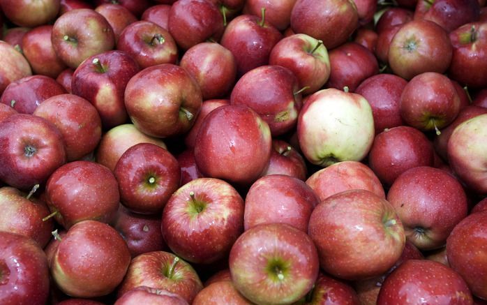 Appels en peren onder kostprijs. Foto ANP