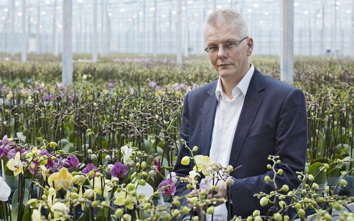 ZEVENHUIZEN-MOERKAPELLE – Commercieel directeur Albert Veerman van SO Natural ziet de toekomst voor de orchideeënkweker zonnig in. „De orchidee heeft een chique uitstraling, maar is tegelijk overal te koop. Er zijn nog afzetmarkten genoeg. Wel is meer dif