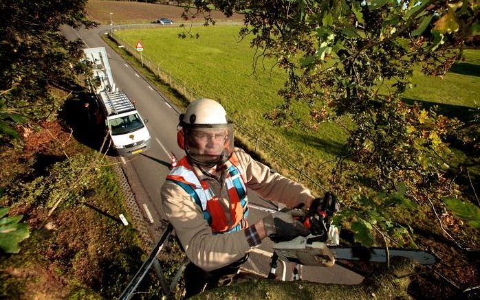 SPEULD – Boomverzorger Nico Snoek (34) verwijdert vanuit zijn hoogwerker dode en laaghangende boomtakken die het verkeer op de Garderenseweg bij Speuld al te veel hinderen. „Ervaring en routine kunnen je snel te nonchalant maken.” Foto Sjaak Verboom