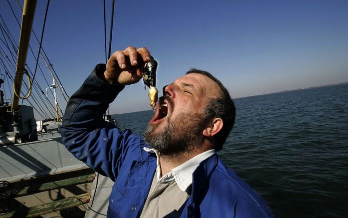 Temperatuurstijging van zeewater hoeft niet nadelig te zijn voor de mosselindustrie, stelt bioloog Jansen. Foto ANP