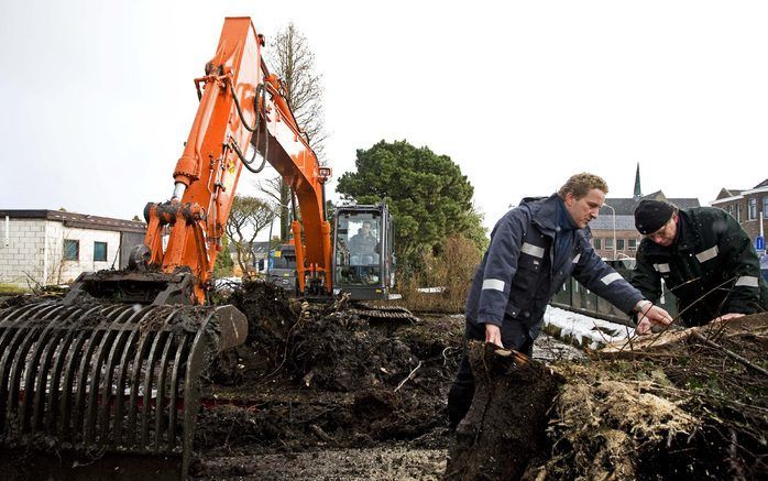 Honderd meter van de plaats waar de eerste infectie met de boktor werd gevonden is men maandag druk bezig met het controleren van bomen op de boktor. Foto ANP