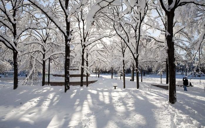 Sneeuw in Washington. Foto EPA