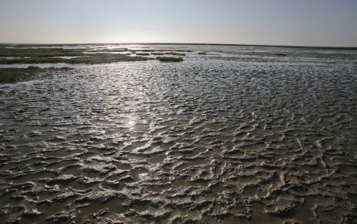 DEN HAAG – Milieuminister Cramer is voor september klaar met een evaluatie van hoe het Waddengebied bestuurd wordt. Op basis daarvan kan ze veranderingen voorstellen om de bestuursstructuur te verbeteren. Dat zei Cramer donderdag in een overleg over het W