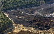 BERGEN AAN ZEE - De brand die een groot deel van de Schoorlse duinen verwoestte, is volgens natuurkenners verschrikkelijk voor de flora en fauna in het gebied. Foto ANP