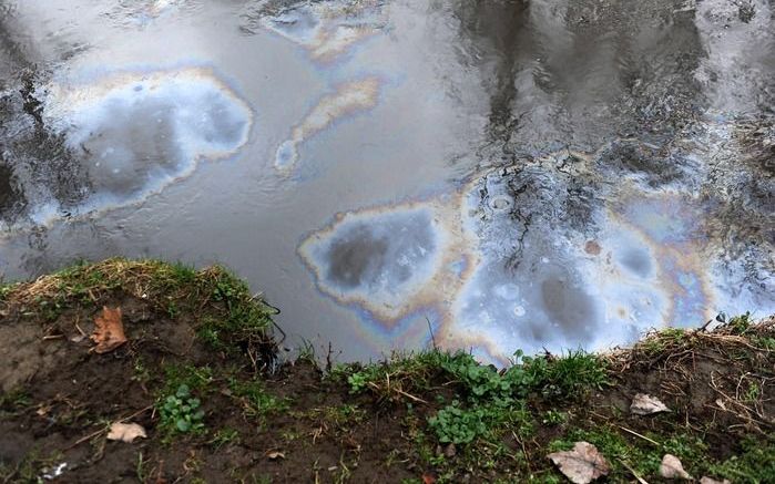 MILAAN – De Italiaanse rivier Po is ernstig vervuild nadat een olievlek van minstens 600.000 liter woensdag de rivier had bereikt. Dat meldden Italiaanse media. Foto EPA