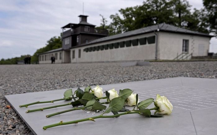 Buchenwald. Foto EPA