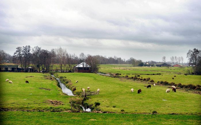 Huishoudens op het platteland hoeven het niet zonder breedbandinternetverbinding te doen. Foto ANP