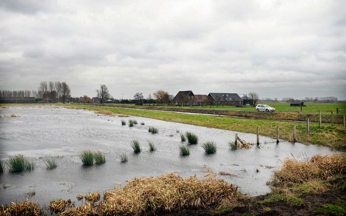 BRUSSEL (ANP) – Europa’s flora en fauna is nog nooit zo goed beschermd geweest. Dat goede nieuws bracht de Europese Commissie vrijdag. Foto ANP