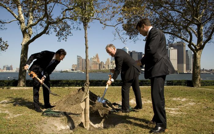 NEW YORK – In aanwezigheid van premier Balkenende plantten minister Verhagen en staatssecretaris Timmermans gisteren een notenboom op Governors Island in New York. Timmermans bereidt de viering van het Hudsonjaar voor. Foto ANP