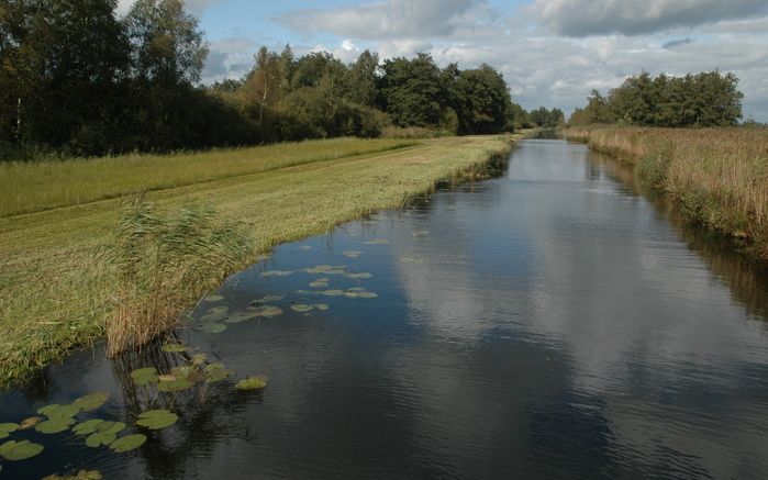 NIEUWKOOP – De Nieuwkoopse Plassen zijn na de Weerribben het grootste laagveengebied in Nederland. In het gebied zijn wandel- en vaarroutes aangegeven door de stichting Natuurmonumenten. Ook is er vandaag een interactief bezoekerscentrum geopend in het na