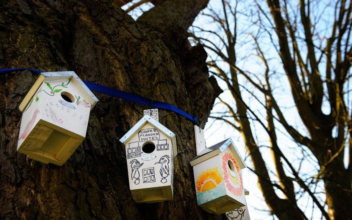 Zoetermeer richtte de nieuwbouwwijk Oosterheem zodanig in, dat vijftig soorten vogels er kunnen leven. „Een voorbeeld en inspiratie voor andere gemeenten”, vindt de Vogelbescherming. Foto ANP