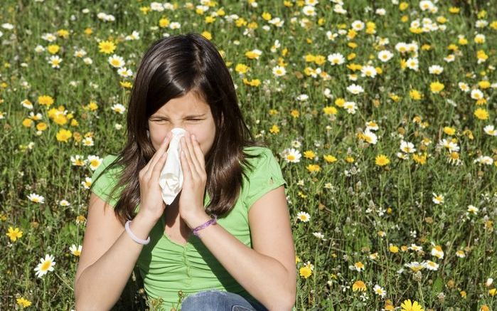 De klachten die de pollenallergie veroorzaken, leiden tot massaal ziekteverzuim. Foto iStock