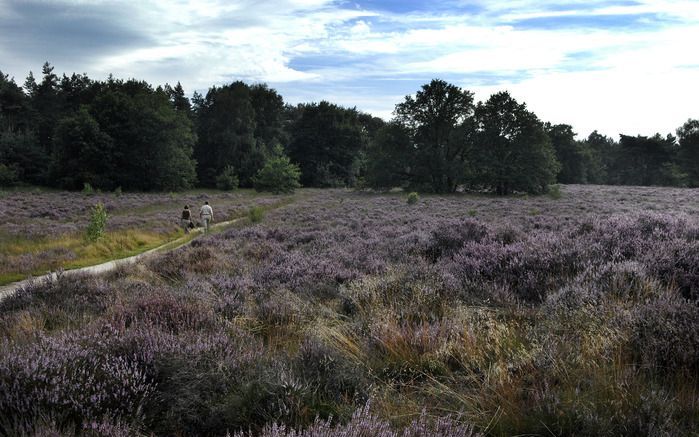 Elkerbout wil relatie leggen met ”de spirit, de natuur, God of Iets". Foto ANP