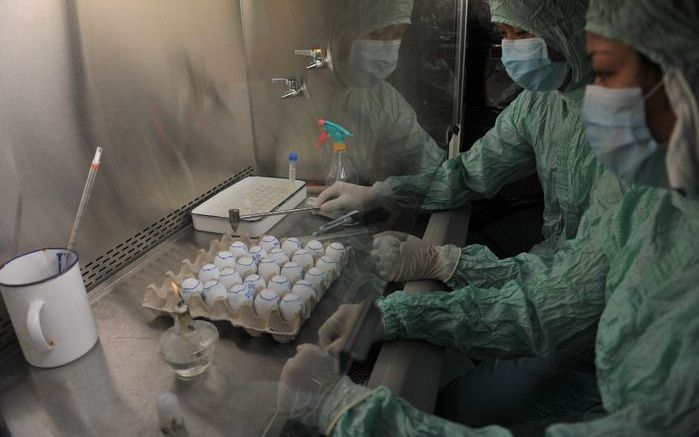 HUBEI - Ontwikkeling van het griepvaccin in China. Foto EPA