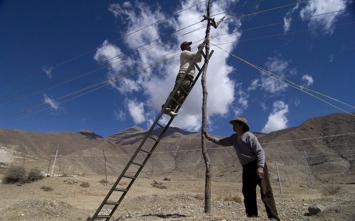 Mannen zijn in Bhutan bezig met het plaatsen van een electriciteitsmast. Foto EPA