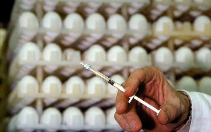 Het Zwitserse farmaceutische bedrijf Novartis is begonnen met een onderzoek naar de werkzaamheid van een vaccin tegen de Mexicaanse griep bij mensen. Foto ANP