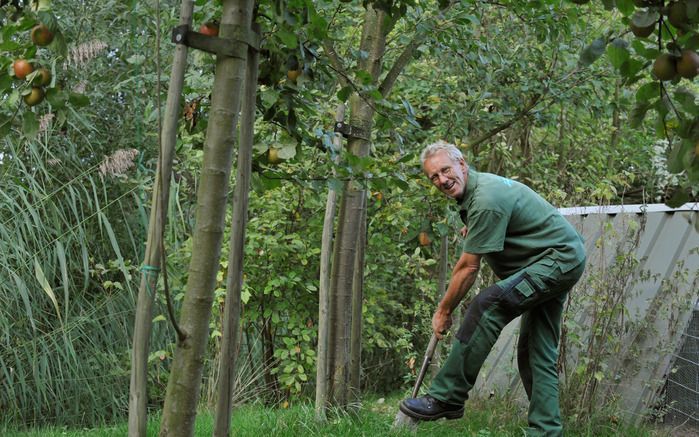 Frans Schaddelee (55) is hovenier. Een zwaar beroep, erkent hij. „Ik wil graag tot mijn 67e blijven werken. Het is goed dat de AOW-leeftijd omhooggaat: mensen worden ouder en de arbeidsomstandigheden zijn flink verbeterd. Wel vind ik dat er een uitzonderi