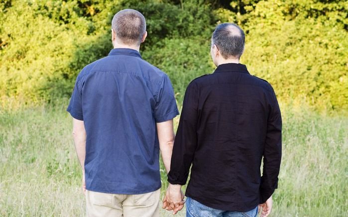 De hoogste rechter bepaalde dat homoseksuele ambtenaren recht hebben op een nabestaandenpensioen. Foto EPA