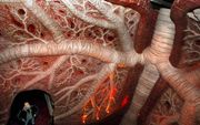 OEGSTGEEST - De longen van het menselijk lichaam, verbeeld in het belevingscentrum Corpus in Oegstgeest. Foto ANP.