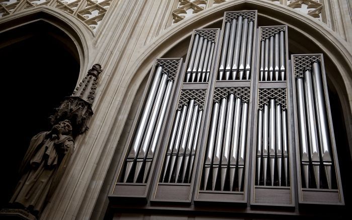 Orgel in Sint Jan kathedraal (Den Bosch). Foto ANP