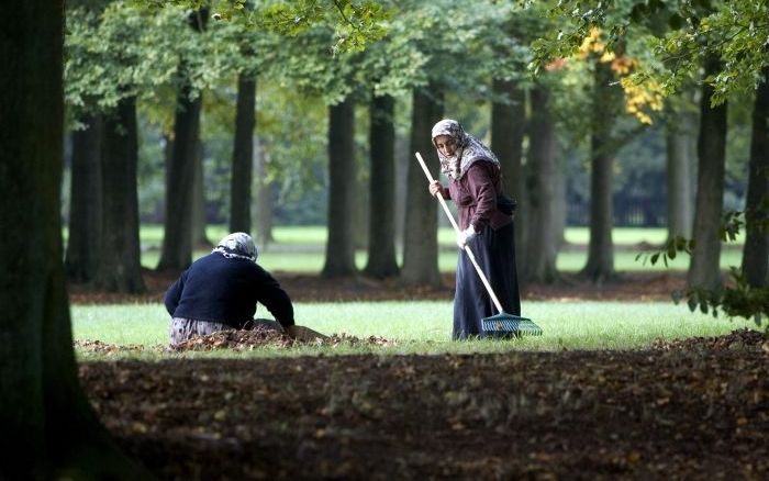 Bomen bij Paleis Het Loo. Foto ANP