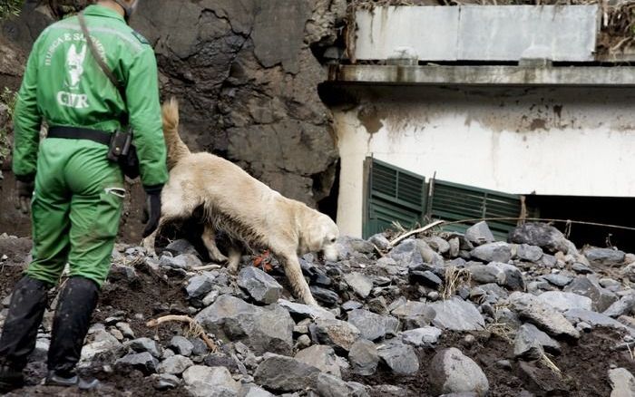 Ravage na de aardverschuiving op Madeira. Foto EPA.