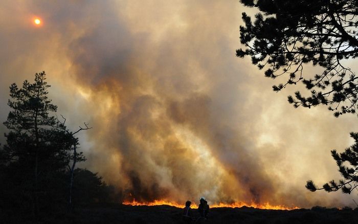 Brand in het duingebied tussen Bergen en Schoorl. Foto ANP