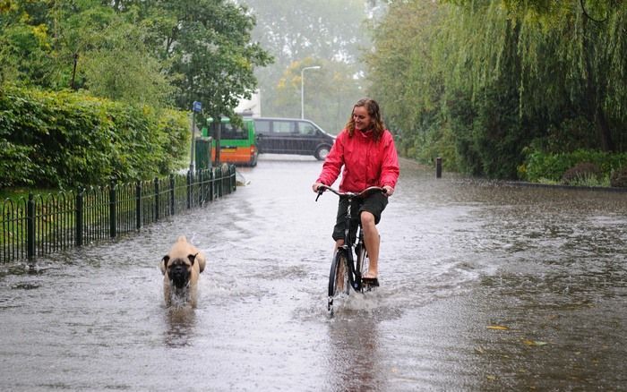 HIPPOLYTUSHOEF - Een fietser trotseert samen met haar hond der regen in De Kieftstraat in Hyppolytushoef, die zondag voor de derde keer dit jaar onder water staat. Foto ANP