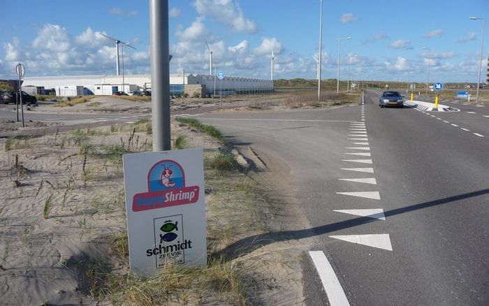 ROTTERDAM – De Happy Shrimp Farm is gevestigd op het uiterste puntje van Nederland, de altijd winderige Maasvlakte bij Rotterdam. Tussen de duinen en de torenhoge windmolens staan witte kassen. Vanbuiten is niet te zien wat er binnen gebeurt. Honden moete