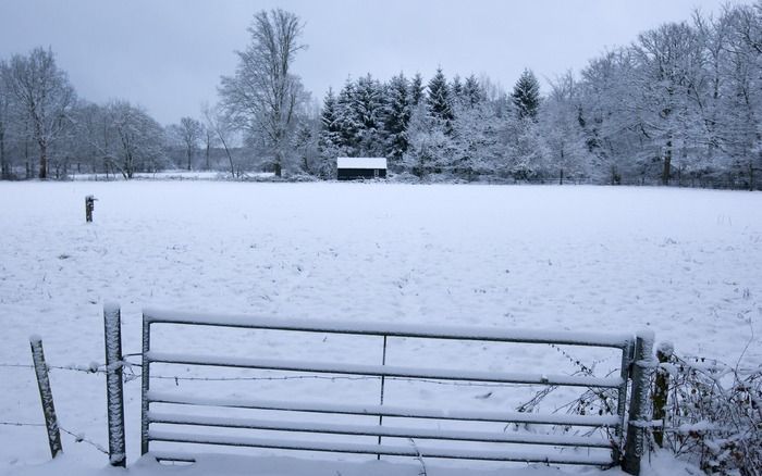 Sneeuwlandschap maandag in de omgeving van Breda. Foto ANP