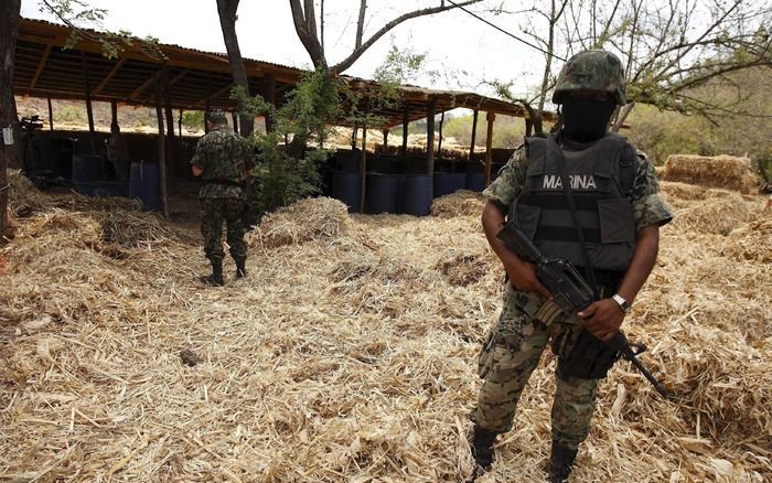 Een Mexicaanse soldaat bewaakt een ontmanteld drugslaboratorium. Foto EPA