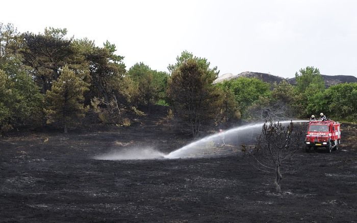 SCHOORL - In de duinen bij Schoorl wordt zaterdag nageblust. De brand ontstond vrijdagmiddag aanvankelijk als heidebrand. Later sloeg het vuur over naar het bos. Foto ANP