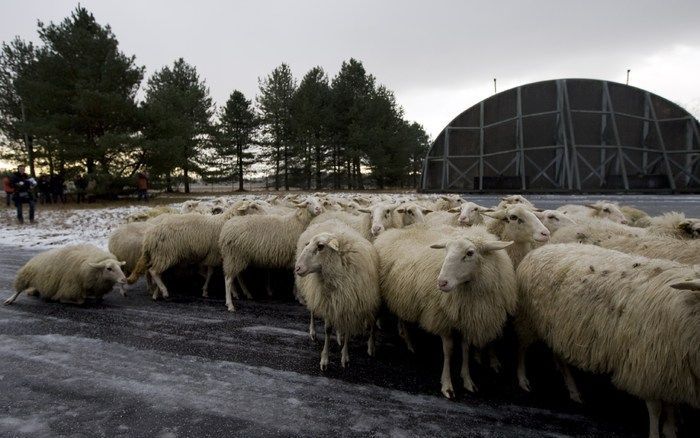 Het lijken spotters, de fotografen links op de foto op de voormalige luchtmachtbasis Soesterberg. Spotters; van die liefhebbers die elk vogeltje, of elk vliegtuig op de gevoelige plaat willen vastleggen.