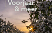 In de Regio Midden Nederland Voorjaar & meer - 31 maart