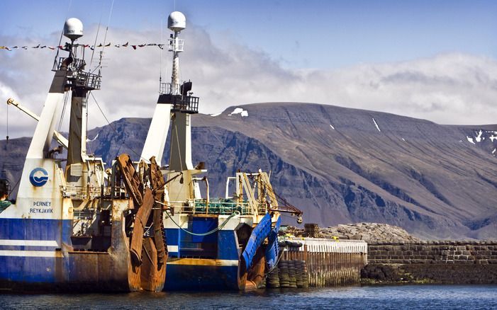 De website www.fishsubsidy.org. onthult vanaf donderdag alle Europese subsidies voro vissers. Foto EPA