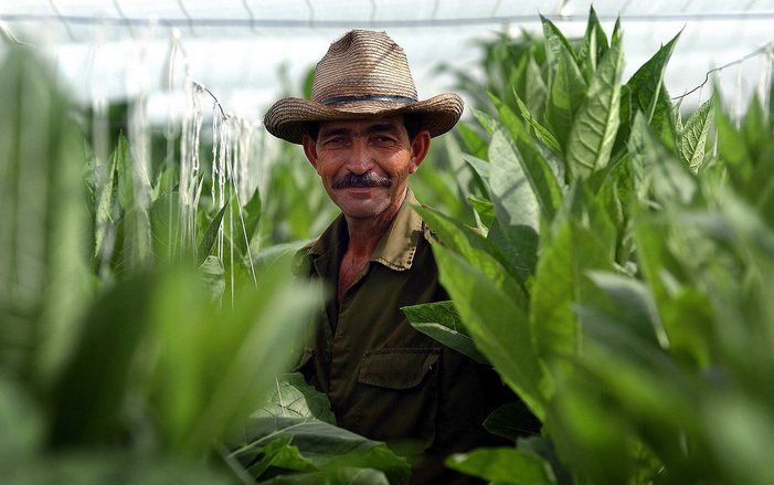 De Europese Unie heft de sancties tegen Cuba op, maar onder strenge voorwaarden. Foto EPA