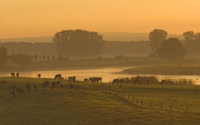 BARCHEM – Fotograaf en melkveehouder Hans Menop uit Barchem maakte de beste agrarische foto uit 2008. Dit is bepaald tijdens de jaarvergadering van de Internationale Federatie van Agrarische Journalisten (IFAJ) in Forth Worth in de Amerikaanse staat Texas