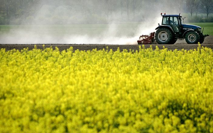 De Europese Unie herziet wellicht het doel dat 10 procent van de brandstof in 2020 uit biobrandstof moet bestaan, zoals uit koolzaad- en palmolie. Foto ANP