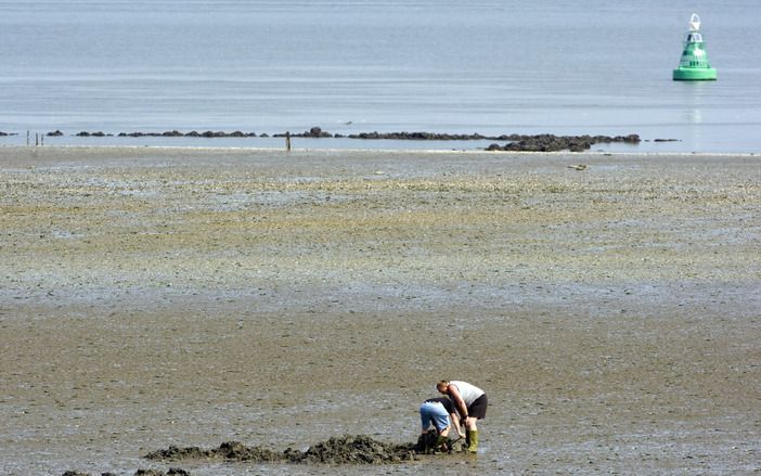 DEN HAAG – Het kabinet is er nog niet uit hoe het conflict met België over de verdieping van de Westerschelde op te lossen. Minister Verburg (LNV) liet vrijdag na de ministerraad weten dat zij en staatssecretaris Huizinga (Verkeer en Waterstaat) daar nog 