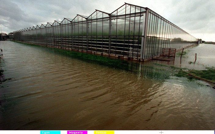 FRANEKER - Overheden investeren 30 miljoen in kassen. Foto ANP